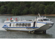 szarnyashajo-bibic-polesje